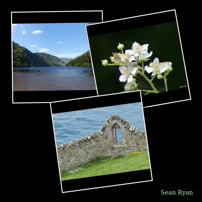 2021 - Glendalough In Summer