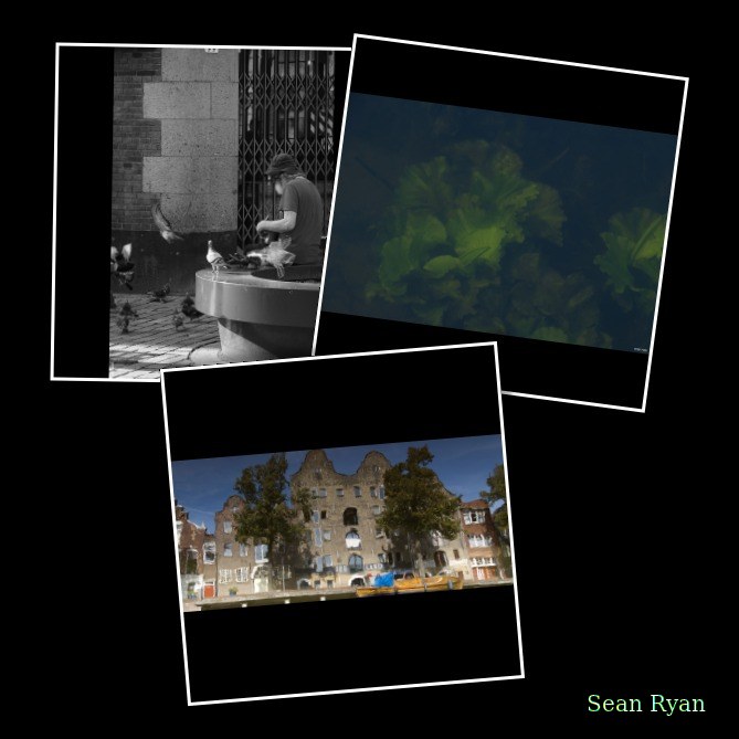 2023-09 - Schiedam Photo Walk - Dutch Boats Bridges And Windmills