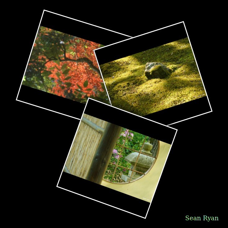 Japanese Garden - Spring And Summer - 2023 - Every Day Photos