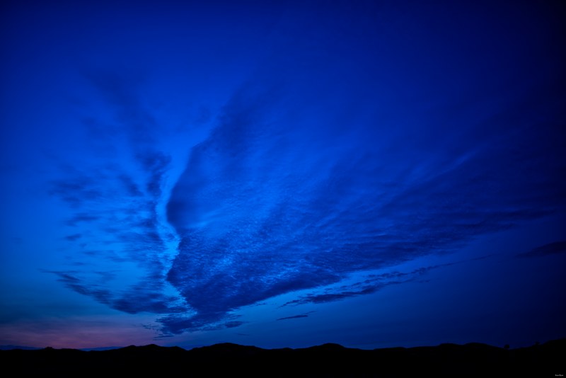 2024-07 - Star And Night Skies At Texel - Netherlands