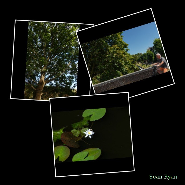 Naarden-nature - Every Day Photos