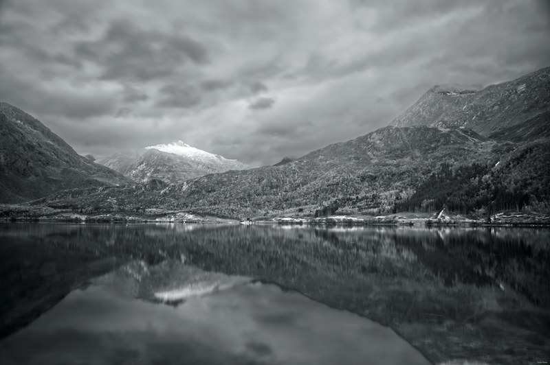 Gullesfjord Troms - SA706228.editted.bw
