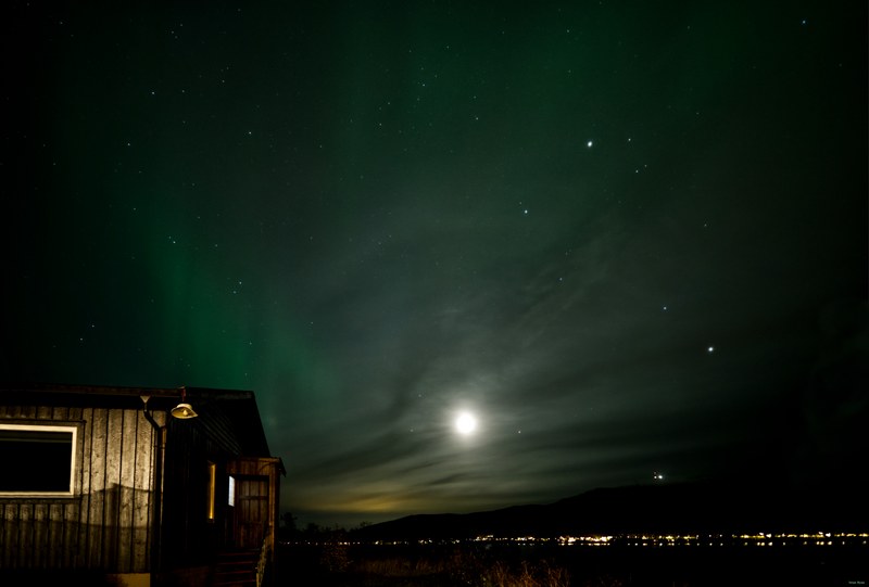 Skoghus Leirsted - Senja - SA706281.editted