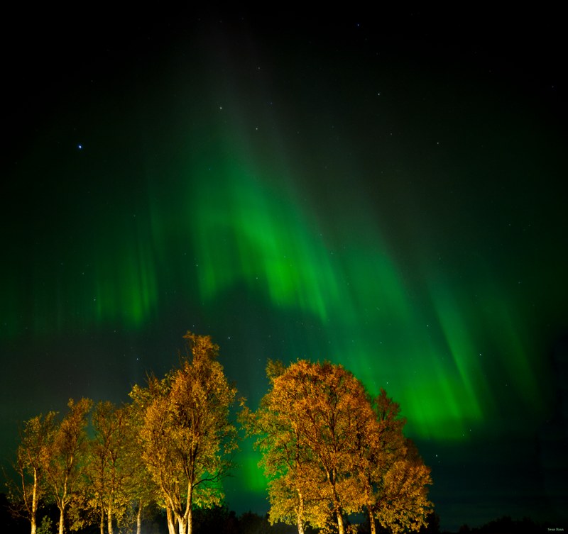 Skoghus Leirsted - Senja - cover.SA706272.editted