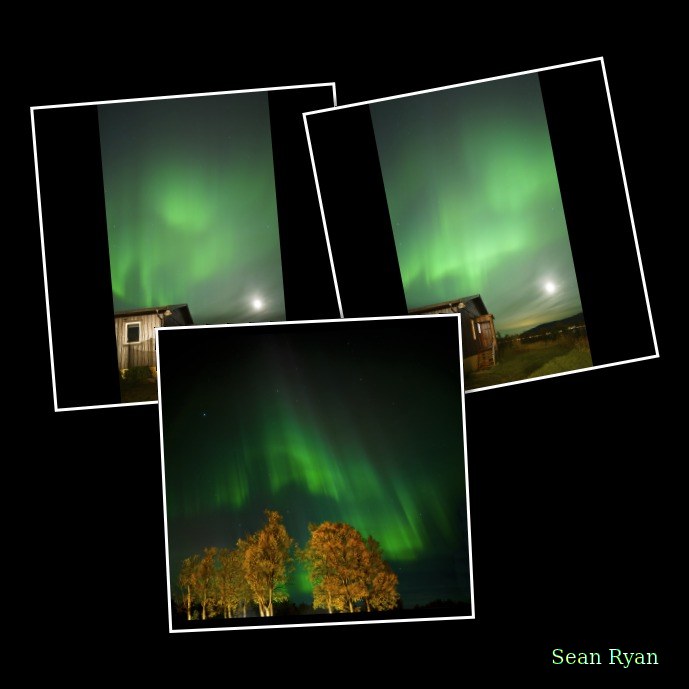 Skoghus Leirsted - Senja - Every Day Photos