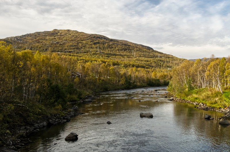 Ulsvag To Abisko Via Polar Park - RX108480.editted