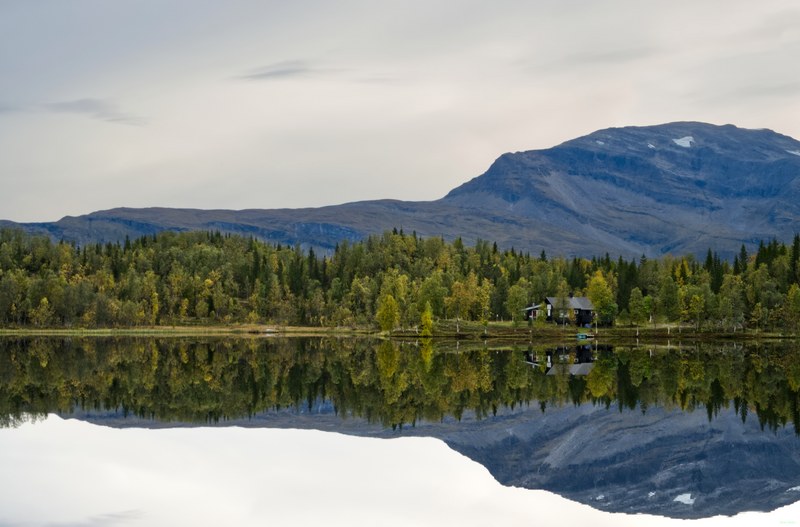 Ulsvag To Abisko Via Polar Park - RX108482.editted