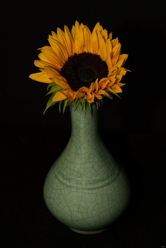 2024-10 - Still Life In A Studio - Den Haag