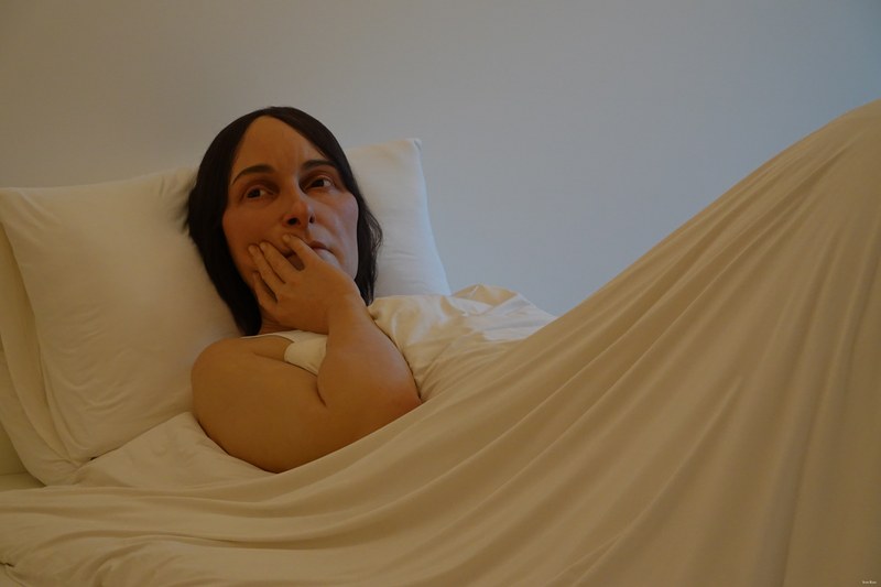 2024-11 - Ron Mueck At Voorlinden Museum