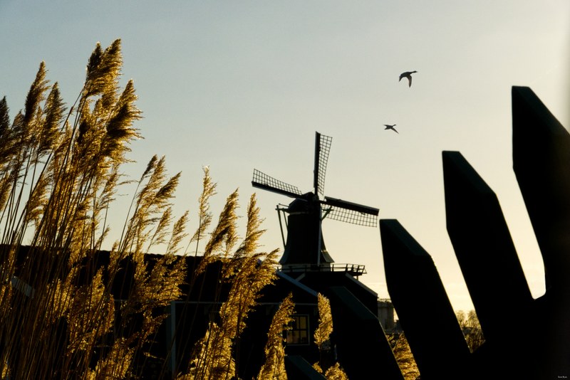 2025-02 - Zaanse Schans Windmills By Sundown
