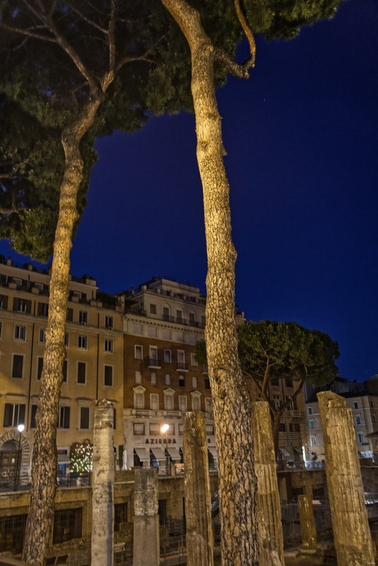 Theater Of Pompey - SA707778.editted