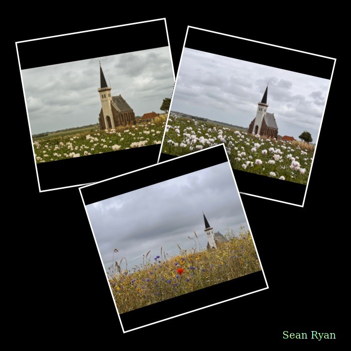 2025-06 - Texel Den Hoorn Church Views With Flowers