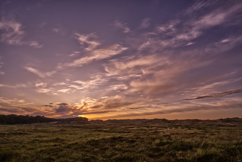 2025-06 - Texel Schaaphuis By Sky Fall - SA707620.editted.2