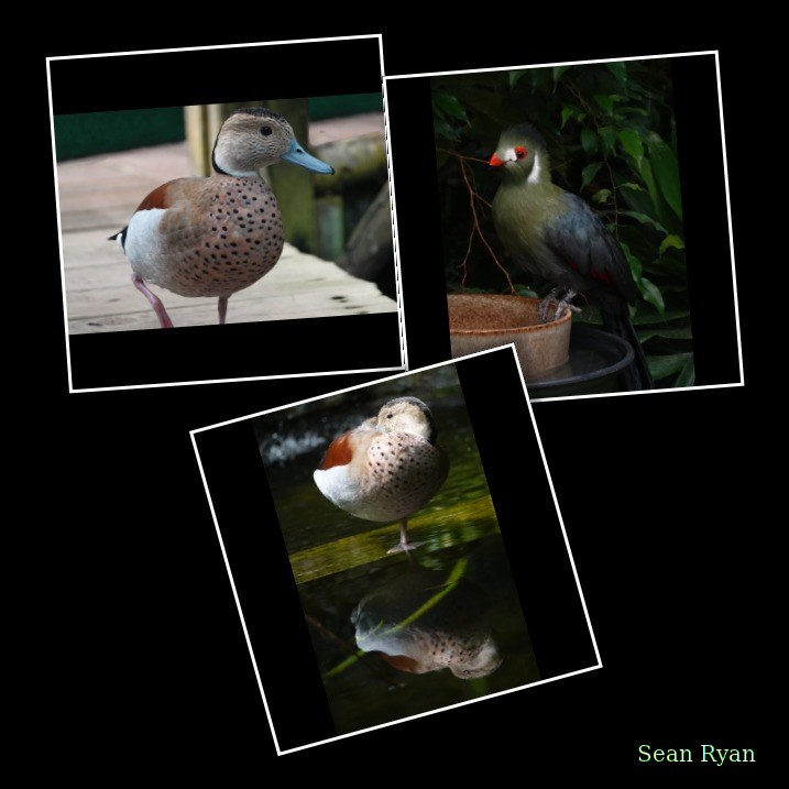 2025-07 - Vlinders Aan De Vliet