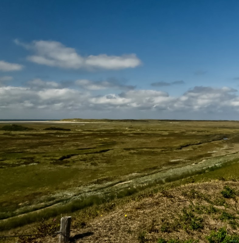 Texel Landscape De Slufter - RX102813.editted