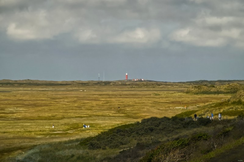 Texel Landscape De Slufter - RX102816.editted