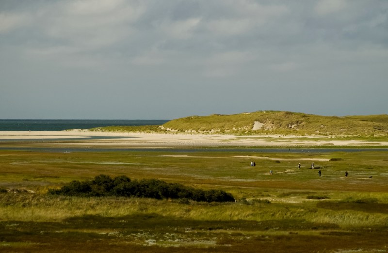 Texel Landscape De Slufter - cover.RX102815.editted