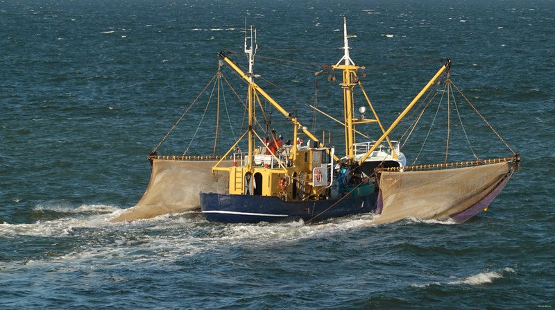 Texel Trawler With Nets - cover.RX103022.ok.editted