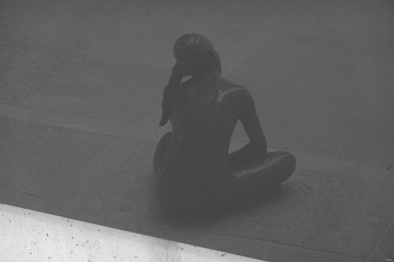 Reflections - RX100011.ok