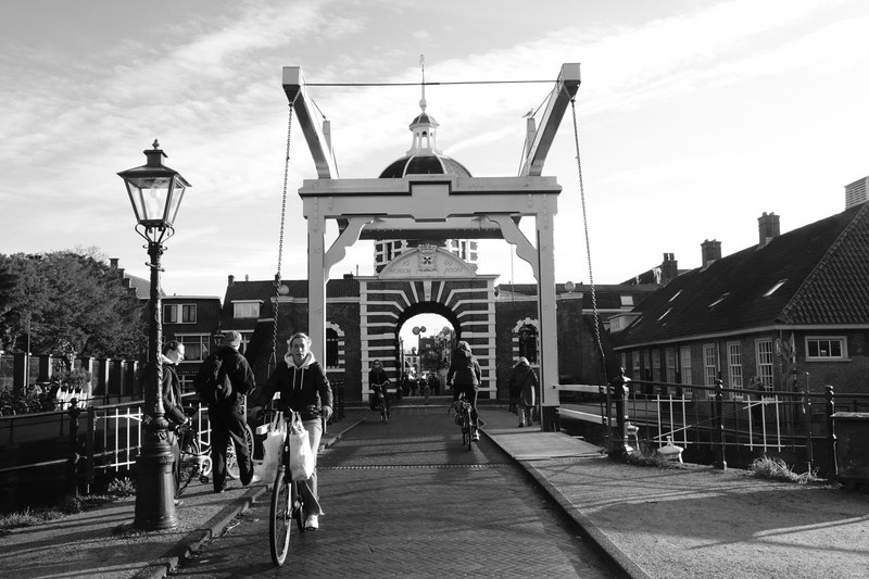 Dutch-bridge - RX100138