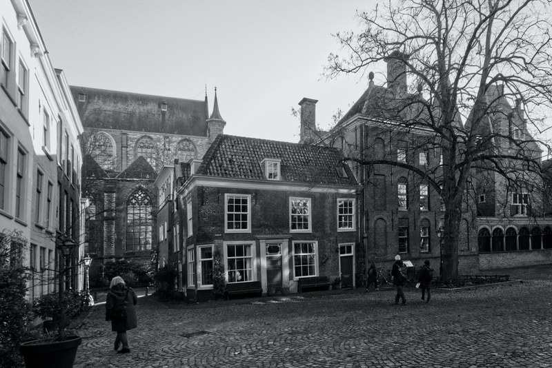 Strolling-around - RX100270.editted