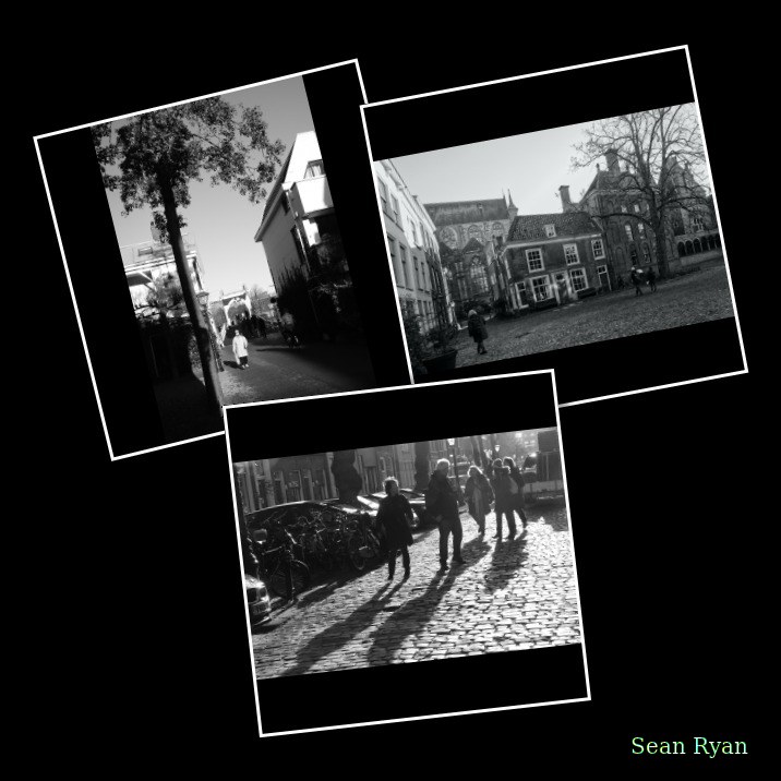 Strolling-around - Every Day Photos