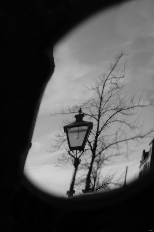 Trees - RX100240.editted