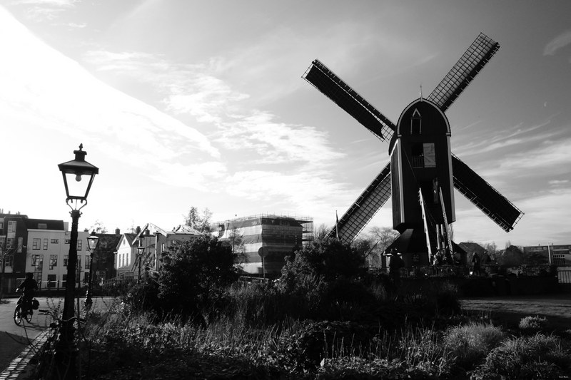Windmills - RX100153