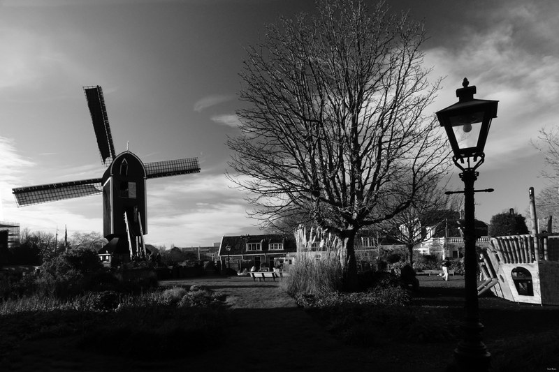 Windmills - RX100155.editted