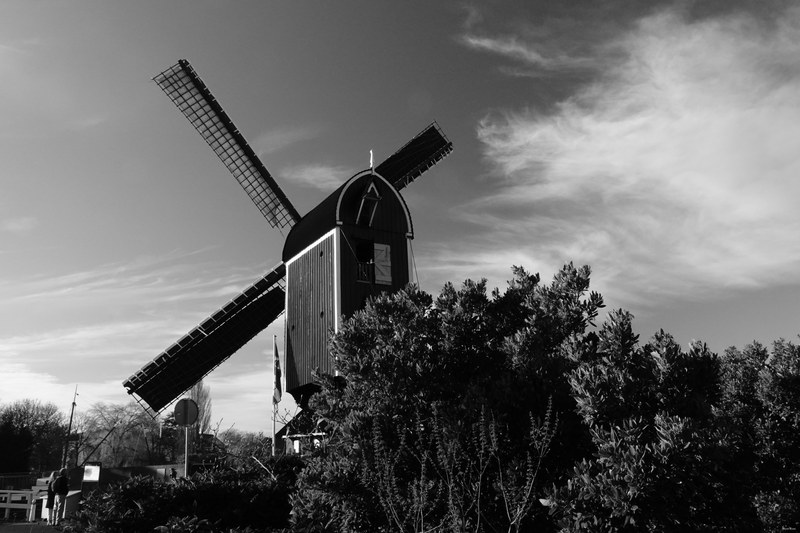 Windmills - RX100161