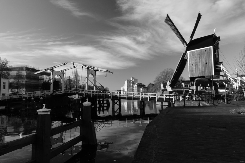 Windmills - RX100169