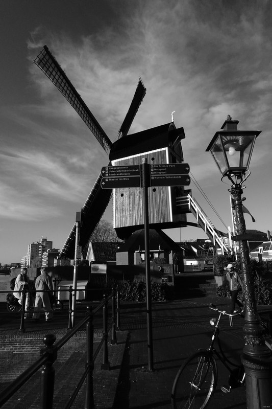 Windmills - RX100173