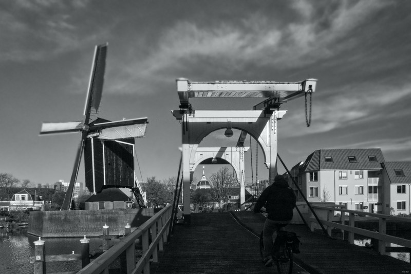 Windmills - RX100183.editted