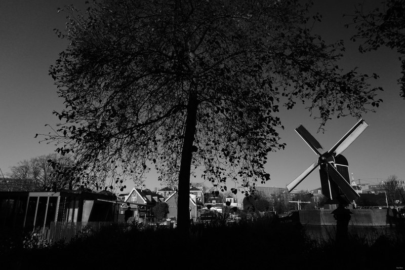 Windmills - RX100202