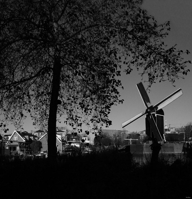 Windmills - Every Day Photos