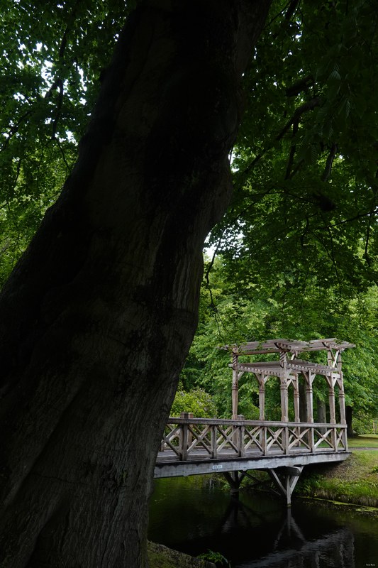 2025 - Japanese Garden Clingandael - The Hague