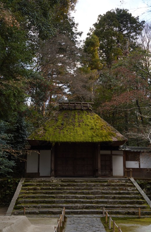 Kyoto - Hōnenin Temple And Sunset - SA701592.ok.editted