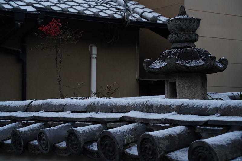 Kyoto - Hōnenin Temple In Snow - SA701695