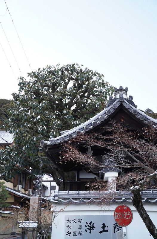 Kyoto - Hōnenin Temple In Snow - cover.SA701689.editted