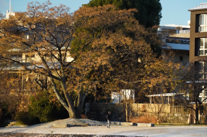 Kyoto - Kamo River By Morning Golden Hour - SA701718.nice