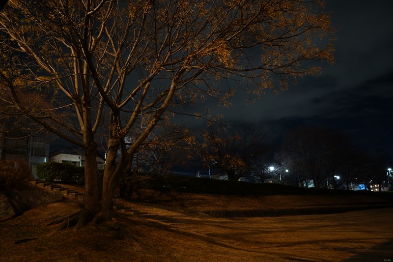 Kyoto - Kamo River By Night Between Bridges - SA701641