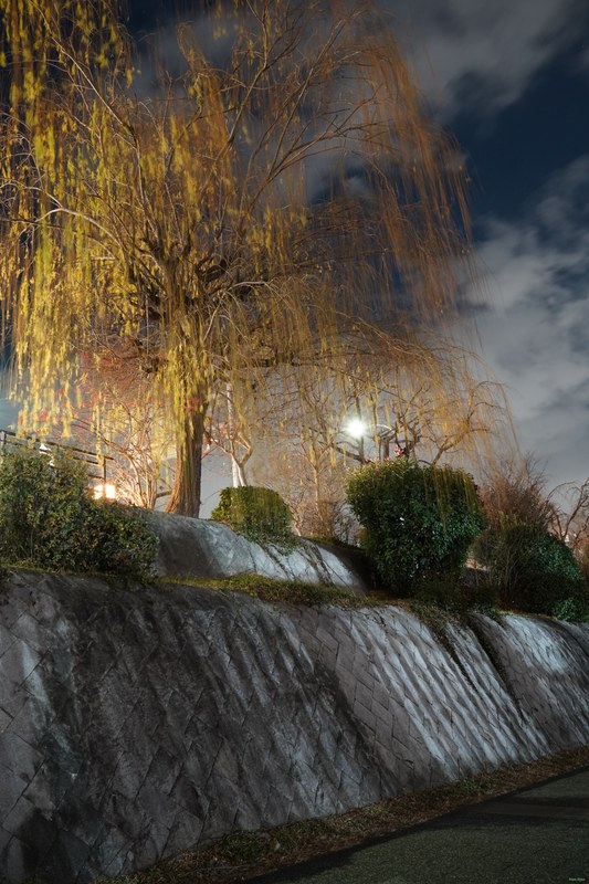 Kyoto - Kamo River By Night Between Bridges - SA701668.nice