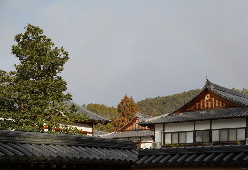 Kyoto - Kinkaku-ji - Golden Pavilion By Morning - SA701363.ok.editted