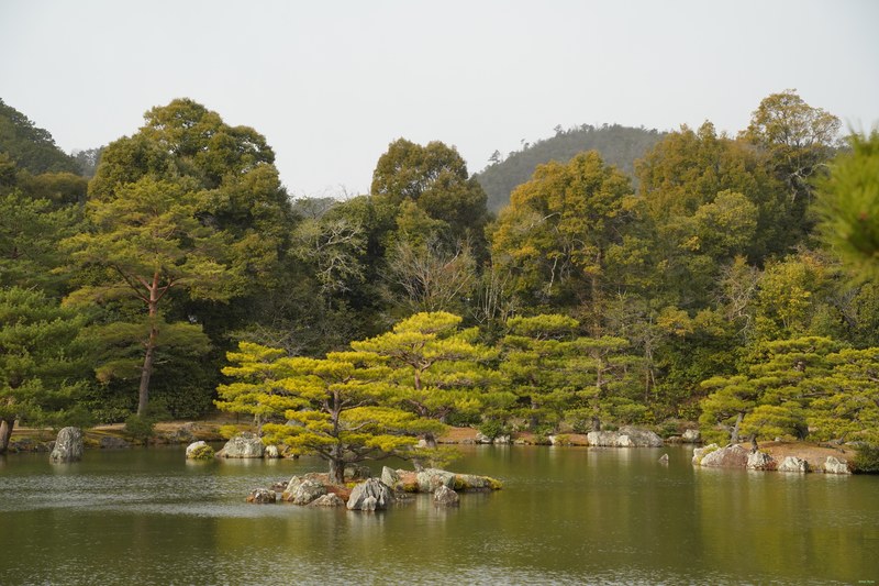 Kyoto - Kinkaku-ji - Golden Pavilion By Morning - SA701391.ok