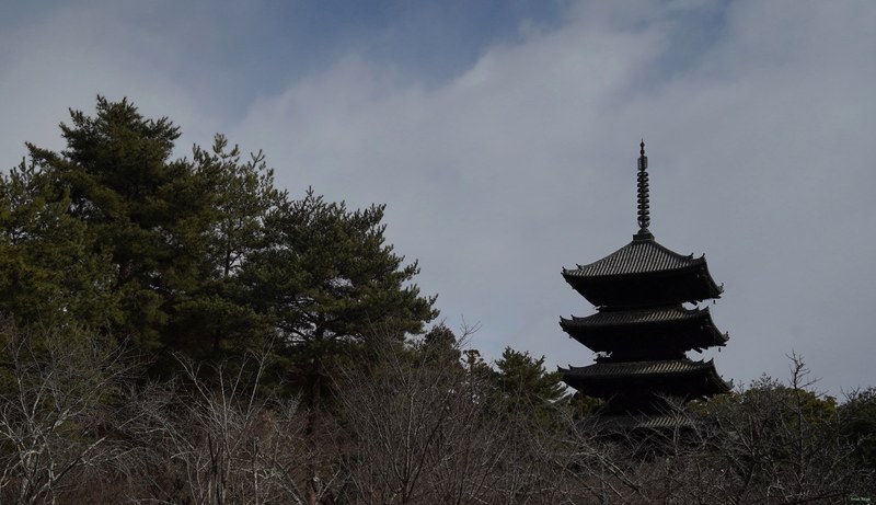 Kyoto - Ninnaji Temple - SA701480.editted