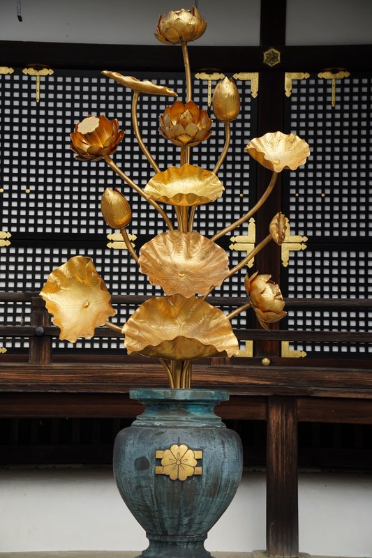 Kyoto - Ninnaji Temple - SA701486.ok
