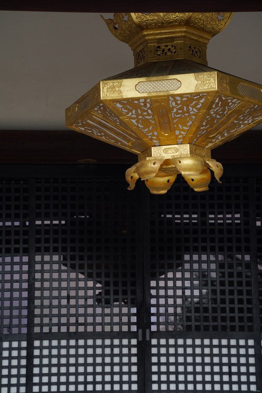 Kyoto - Ninnaji Temple - SA701493