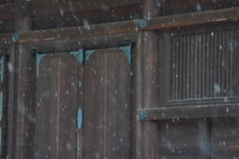 Kyoto - Ninnaji Temple - SA701503