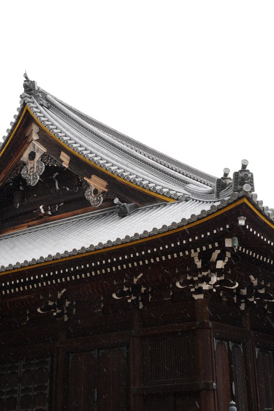 Kyoto - Ninnaji Temple - SA701504