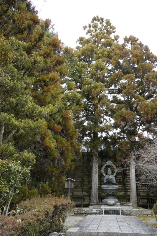 Kyoto - Ninnaji Temple - SA701521